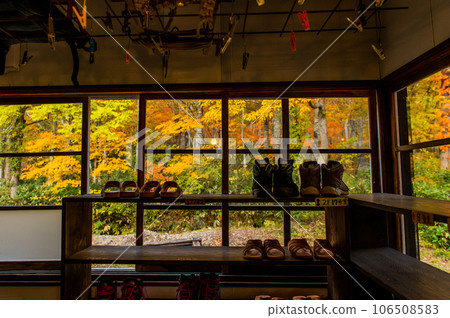 Burning autumn Oze colored with colored leaves 106508583