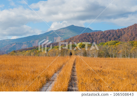 Burning autumn Oze colored with colored leaves Burning autumn Oze colored with colored leaves 106508643