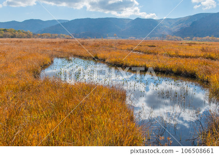 用紅葉著色的燃燒的秋天尾瀨 106508661