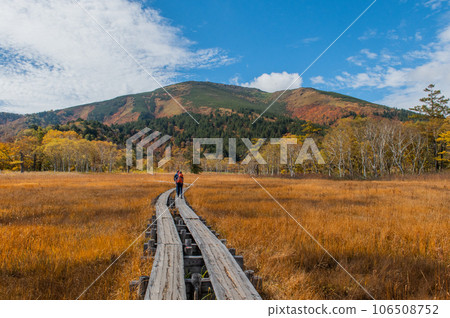 Burning autumn Oze colored with colored leaves Burning autumn Oze colored with colored leaves 106508752