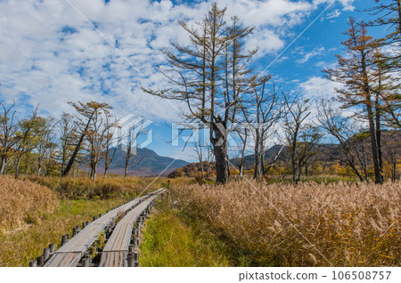 Burning autumn Oze colored with colored leaves 106508757