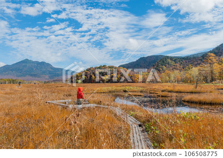 Burning autumn Oze colored with colored leaves 106508775