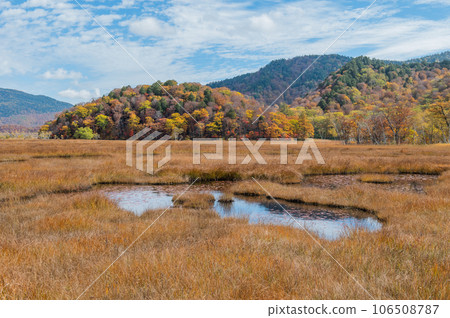 Burning autumn Oze colored with colored leaves Burning autumn Oze colored with colored leaves 106508787