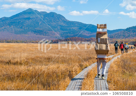 用紅葉著色的燃燒的秋天尾瀨 用紅葉著色的燃燒的秋天尾瀨 106508810