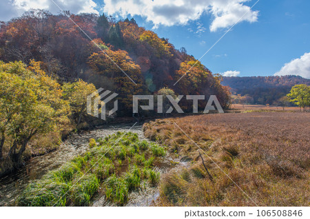 Burning autumn Oze colored with colored leaves 106508846