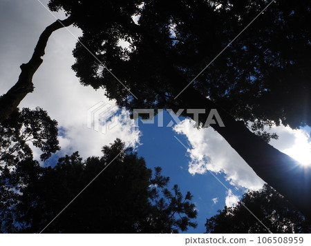 夢幻般的夏日天空 夢幻般的夏日天空 106508959