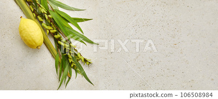 Jewish festival of Sukkot. Sukkot traditional symbols. Four species etrog, lulav, willow and myrtle. Jewish festival of Sukkot. Sukkot traditional symbols. Four species etrog, lulav, willow and myrtle. 106508984