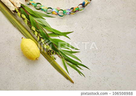 Jewish festival of Sukkot. Sukkot traditional symbols. Four species etrog, lulav, willow and myrtle. Jewish festival of Sukkot. Sukkot traditional symbols. Four species etrog, lulav, willow and myrtle. 106508988