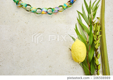 Jewish festival of Sukkot. Sukkot traditional symbols. Four species etrog, lulav, willow and myrtle. Jewish festival of Sukkot. Sukkot traditional symbols. Four species etrog, lulav, willow and myrtle. 106508989