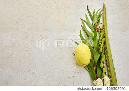 Jewish festival of Sukkot. Sukkot traditional symbols. Four species etrog, lulav, willow and myrtle. 106508991