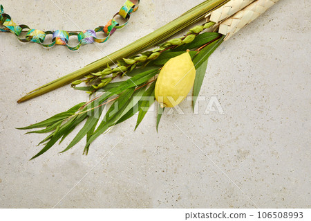 Jewish festival of Sukkot. Sukkot traditional symbols. Four species etrog, lulav, willow and myrtle. Jewish festival of Sukkot. Sukkot traditional symbols. Four species etrog, lulav, willow and myrtle. 106508993
