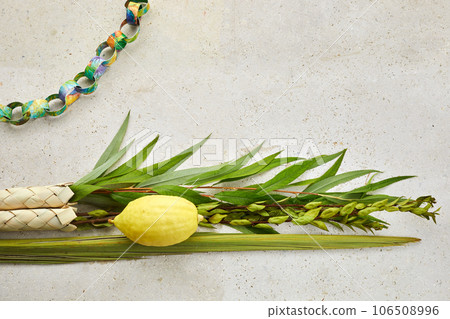 Jewish festival of Sukkot. Sukkot traditional symbols. Four species etrog, lulav, willow and myrtle. 106508996