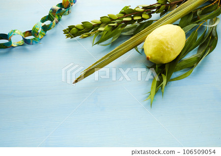 Jewish festival of Sukkot. Sukkot traditional symbols. Four species etrog, lulav, willow and myrtle. 106509054