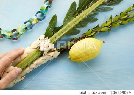 Jewish festival of Sukkot. Hand holding Sukkot festival symbols Jewish festival of Sukkot. Hand holding Sukkot festival symbols 106509059