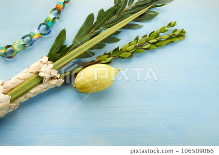Jewish festival of Sukkot. Sukkot traditional symbols. Four species etrog, lulav, willow and myrtle. Jewish festival of Sukkot. Sukkot traditional symbols. Four species etrog, lulav, willow and myrtle. 106509066