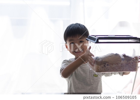 6 year old boy with a beetle 6 year old boy with a beetle 106509105