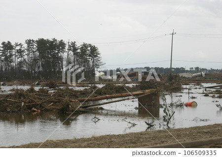 11 days after the Great East Japan Earthquake Iwanuma City, Miyagi Prefecture 106509335