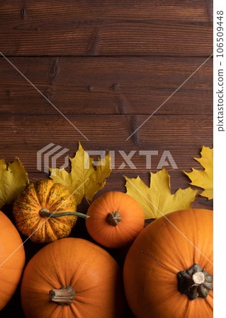 Pumpkin border over rustic wood Pumpkin border over rustic wood 106509448
