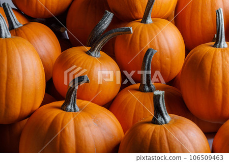 Whole orange pumpkins Whole orange pumpkins 106509463