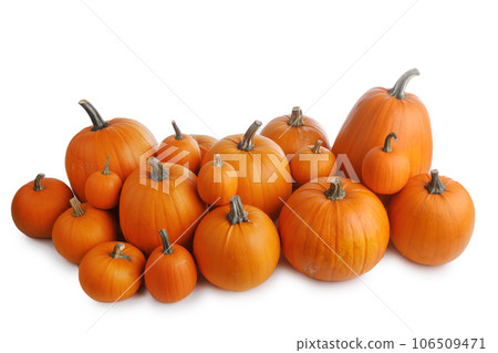 Many orange pumpkins on white Many orange pumpkins on white 106509471