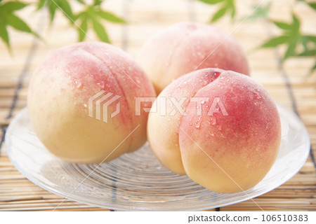 桃子 桃子 106510383