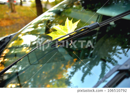 yellow maple leaf on car glass, reflection in the glass autumn trees beautiful glare yellow maple leaf on car glass, reflection in the glass autumn trees beautiful glare 106510792