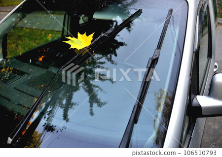 yellow maple leaf on car glass, reflection in the glass autumn trees beautiful glare, after rain 106510793