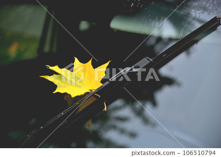 yellow maple leaf on car glass, reflection in the glass autumn trees beautiful glare tinted, after rain 106510794