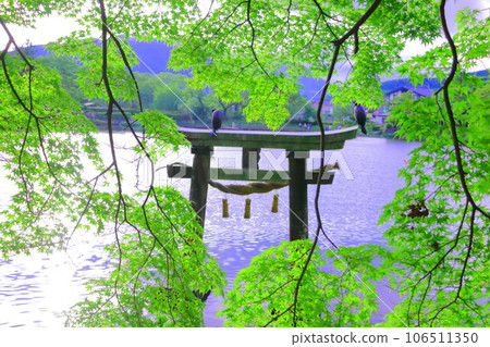 鳥居周圍綠意盎然 106511350