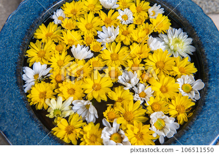 Summer flower chozuya 106511550