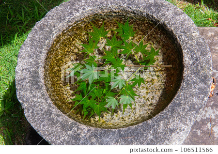 Summer flower chozuya 106511566