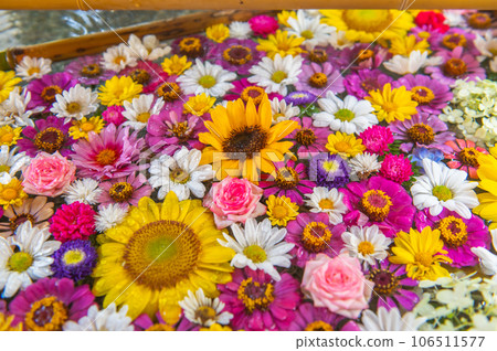 Summer flower chozuya 106511577