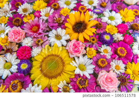 夏花長津屋 106511578