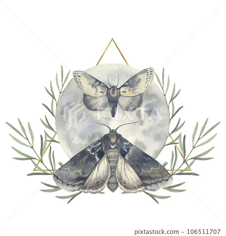 Watercolor night moth and moon isolated on white background. Hand drawn vintage illustration. Night butterfly. Design for card, tattoo, invitation, greeting, letter, poster, cover, logo. Watercolor night moth and moon isolated on white background. Hand drawn vintage illustration. Night butterfly. Design for card, tattoo, invitation, greeting, letter, poster, cover, logo. 106511707