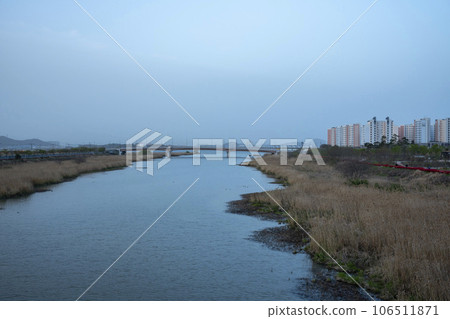 Bicycle path along Yeongsangang River Bicycle path along Yeongsangang River 106511871
