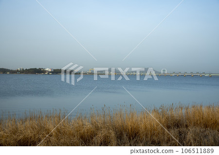 Bicycle path along Yeongsangang River Bicycle path along Yeongsangang River 106511889