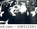 monochrome goldfish 106512561