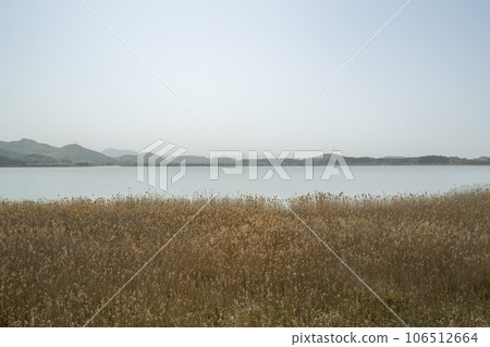 Bicycle path along Yeongsangang River 106512664
