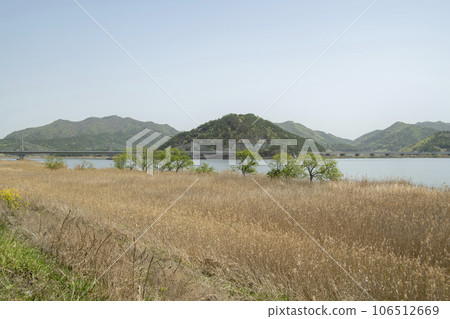 Bicycle path along Yeongsangang River 106512669