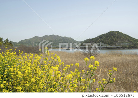 Bicycle path along Yeongsangang River 106512675