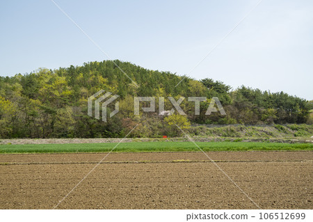 Bicycle path along Yeongsangang River 106512699