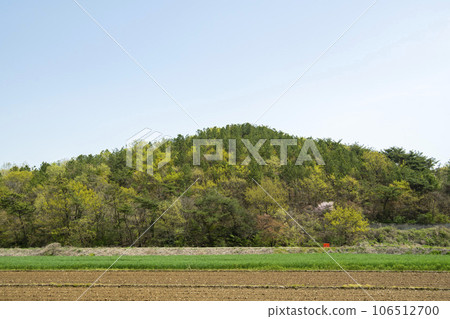 Bicycle path along Yeongsangang River 106512700