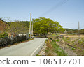 Bicycle path along Yeongsangang River 106512701