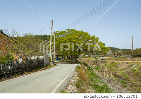 Bicycle path along Yeongsangang River Bicycle path along Yeongsangang River 106512701