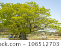 Bicycle path along Yeongsangang River 106512703