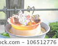 Butterfly 106512776