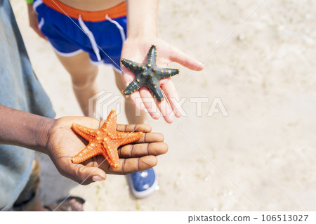 Black and white boys show starfish caught on the beach at the sea 106513027
