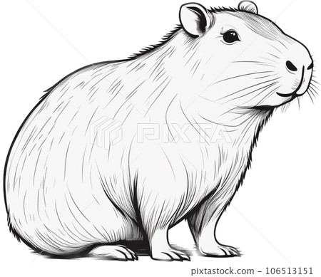 Capybara character 106513151