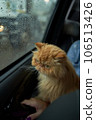 Pet with owner in the car on the seat. Traveling with an animal. 106513426