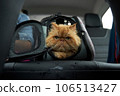 Pet carrier in the car on the seat. Traveling with an animal. 106513427